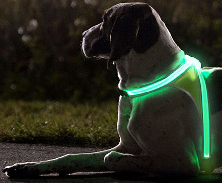 جلیقه سگ چشم نواز با چراغ های LED 