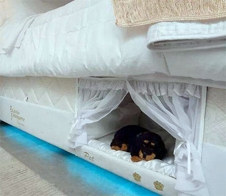 تخت خواب کلاسیک برای سگ 