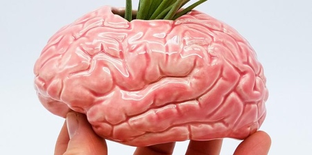 Brain Planter