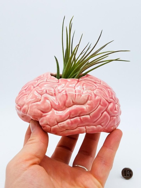 Human Brain Planter