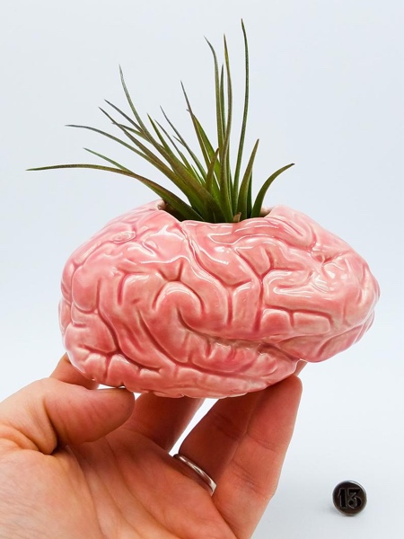 Pink Brain Planter