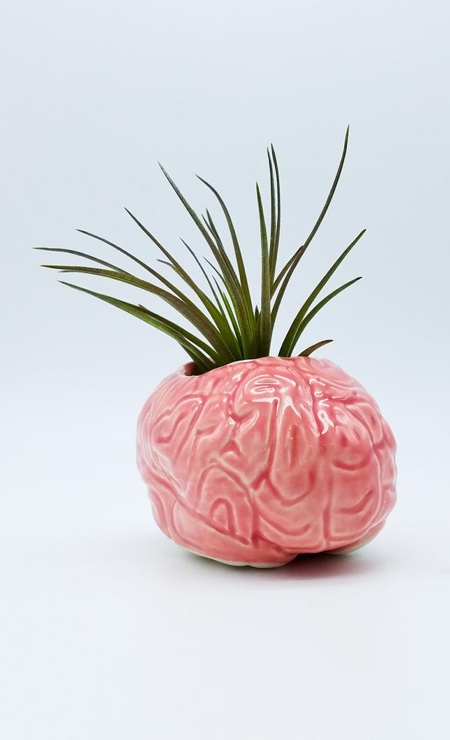 Human Brain Vase