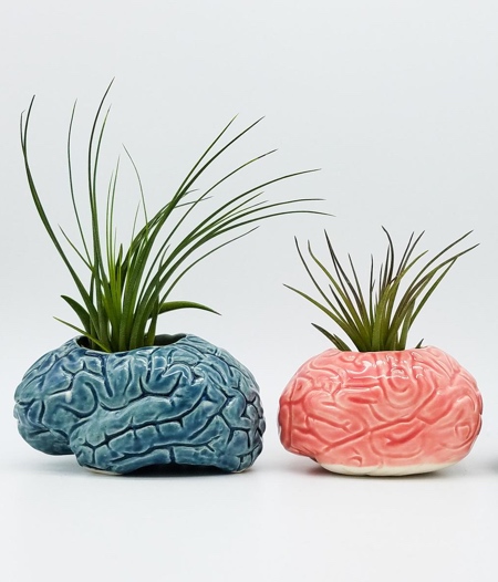 Pink Brain Vase