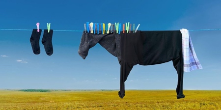 Animals Made of Clothes