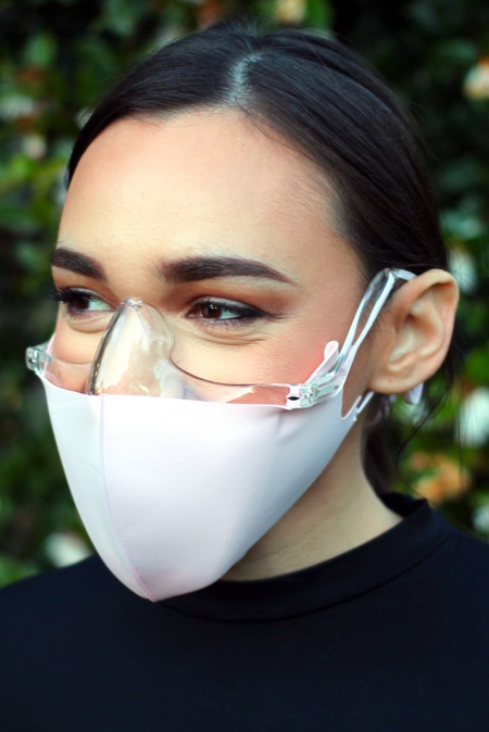 Face Shield