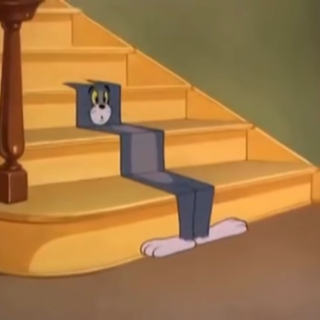 Tom and Jerry Carpet