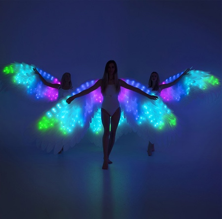 LED Angel Wings