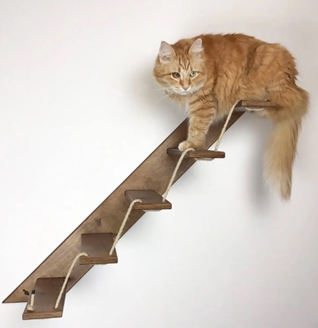 پله هایی برای گربه ها 