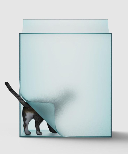 خانه ای شفاف برای گربه ها 
