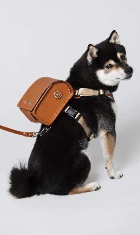 کیف مدرسه مینیاتوری ژاپنی که برای سگ شما