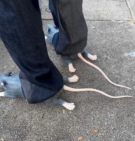 کفش‌های خلاقانه طراحی‌شده برای شبیه به دو موش 