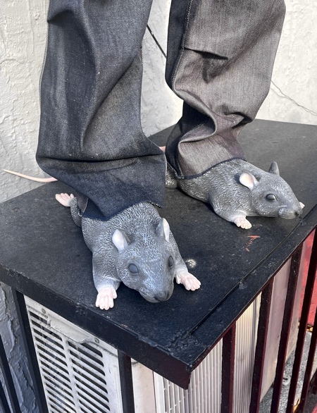 کفش‌های خلاقانه طراحی‌شده برای شبیه به دو موش 