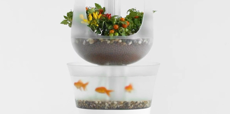 Aquarium Home Farming System