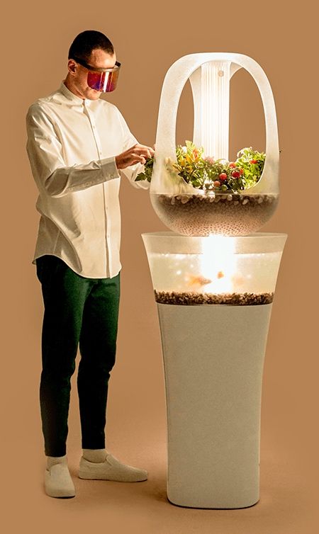 Aquarium Planter