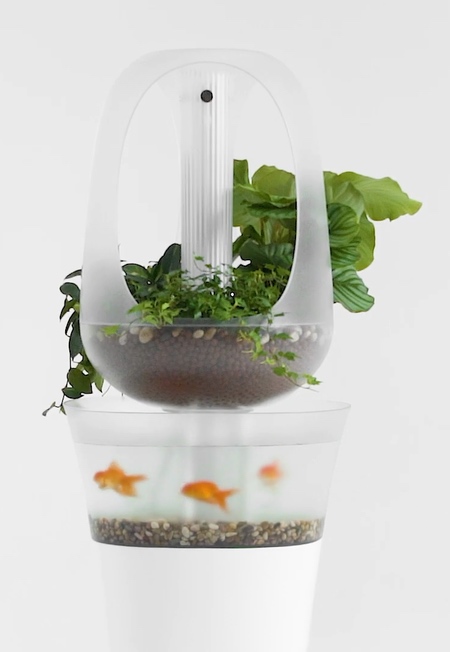 Aquarium Farming System