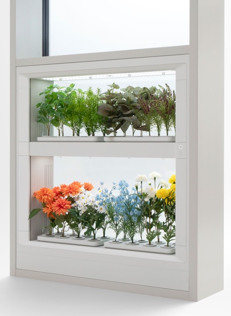 Indoor Garden inside the Window