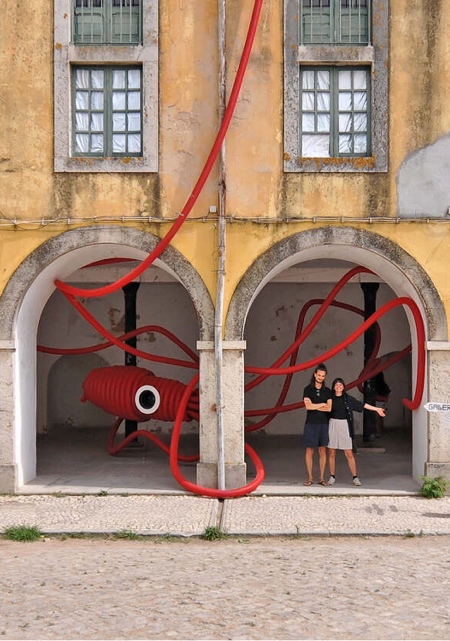 Giant Red Squid in Portugal