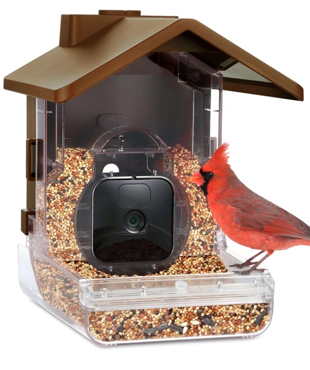 Camera Bird Feeder