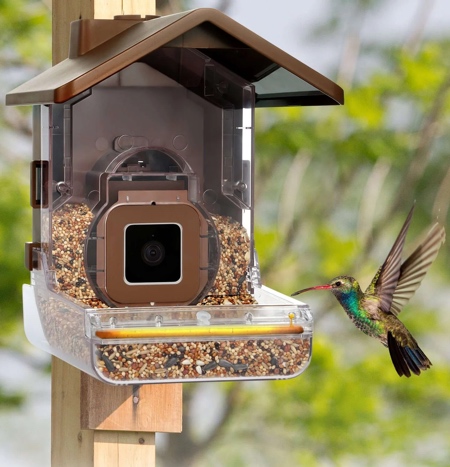 Bird Feeder Camera