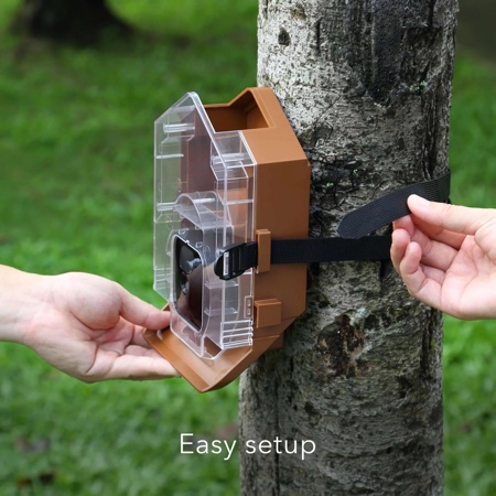 The Wasserstein Bird Feeder Camera Case