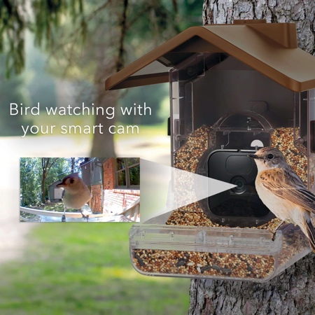 Wasserstein Bird Feeder Camera Case