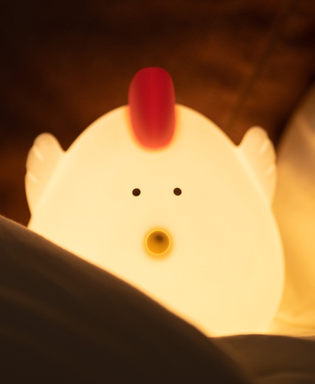 Chicken Shaped Night Light