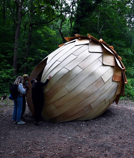 Acorn Meditation Pod by Linfeng Zhou