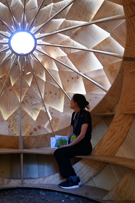 Acorn Meditation Pod by LFZ Studio