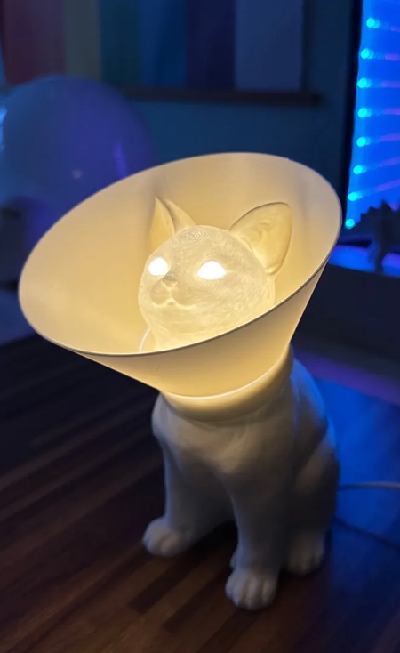 Cone of Shame Lamp