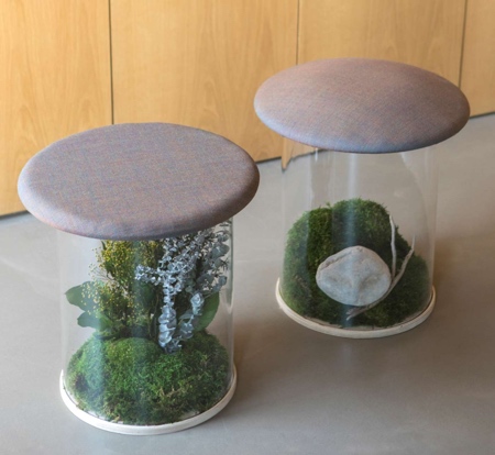 Wild Stool by Jorge Herrera Studio