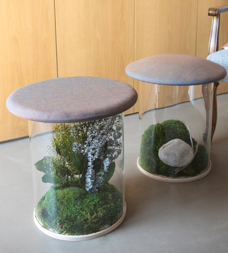 Greenarea Wild Stool